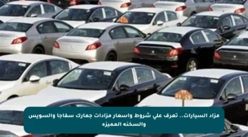 مزاد السيارات.. تعرف على شروط وأسعار مزادات جمارك سفاجا والسويس والسخنة المميزة